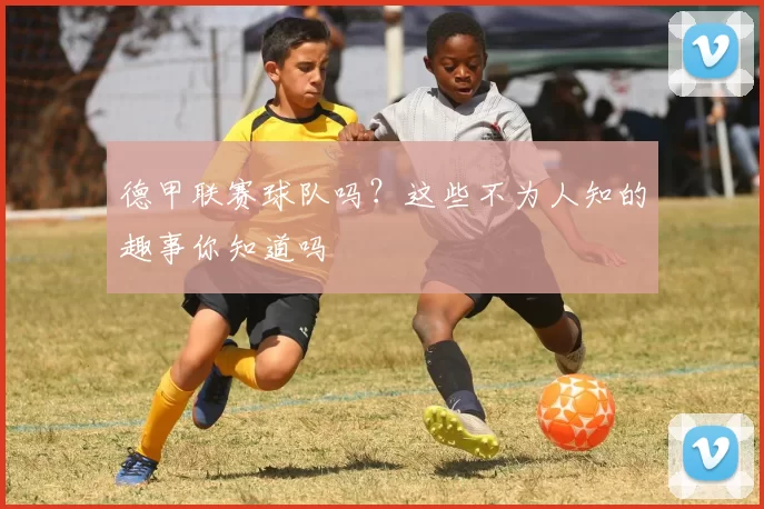 德甲联赛球队吗?这些不为人知的趣事你知道吗
