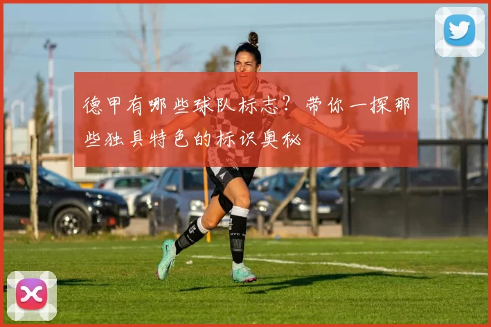 德甲有哪些球队标志?带你一探那些独具特色的标识奥秘