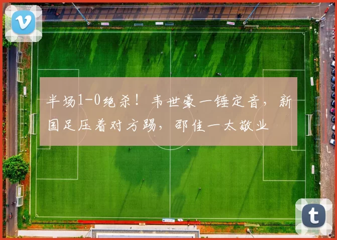 半场1-0绝杀！韦世豪一锤定音，新国足压着对方踢，邵佳一太敬业