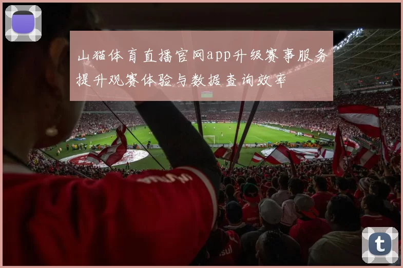 山猫体育直播官网app升级赛事服务提升观赛体验与数据查询效率