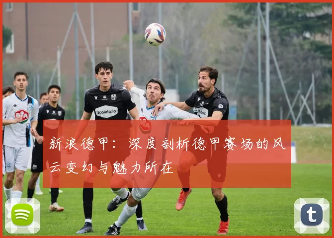 新浪德甲：深度剖析德甲赛场的风云变幻与魅力所在