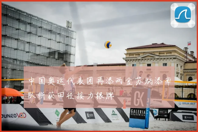 中国奥运代表团再添两金苏炳添率队斩获田径接力银牌