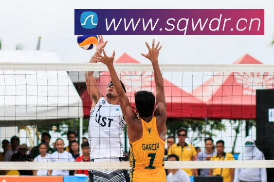 bsports官网地址发展历程